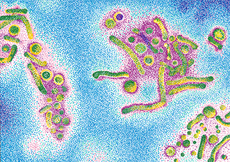 Virus Hepaptite B pointillisme feutres de couleurs CatMat 2023